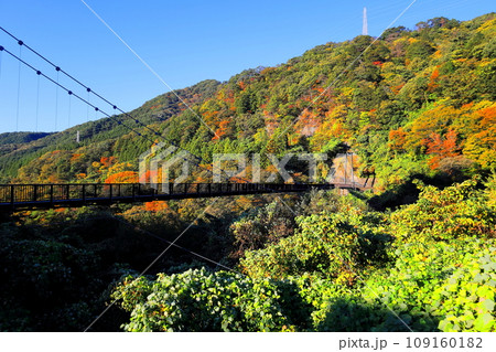鬼怒川温泉の鬼怒楯岩大吊橋／栃木県日光市 109160182