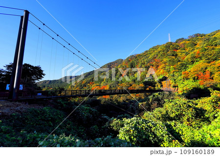 鬼怒川温泉の鬼怒楯岩大吊橋/栃木県日光市 鬼怒川温泉の鬼怒楯岩大吊橋/栃木県日光市 109160189