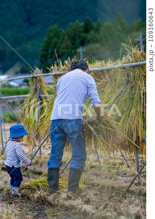 稲刈り体験をする親子 109160643