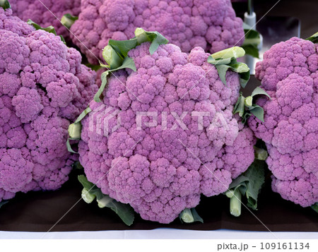 紫カリフラワー 109161134