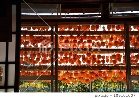 山梨県秋の名物、枯露柿の里の風景 109161607