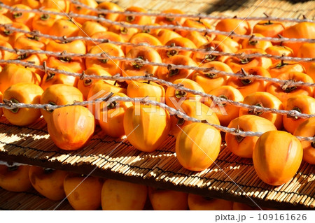 山梨県秋の名物、枯露柿の里の風景 109161626