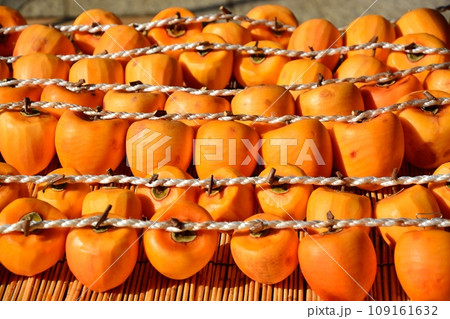 山梨県秋の名物、枯露柿の里の風景 109161632