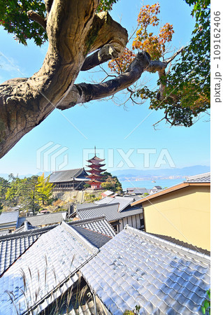 高台のカフェから見た宮島の風景 109162406