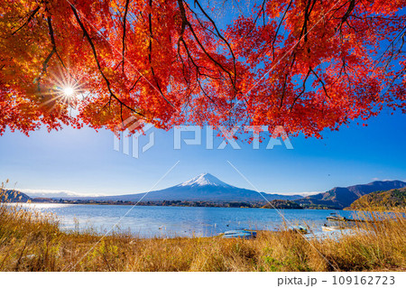 【富士山素材】秋の河口湖から見る冠雪した富士山と紅葉【山梨県】 【富士山素材】秋の河口湖から見る冠雪した富士山と紅葉【山梨県】 109162723