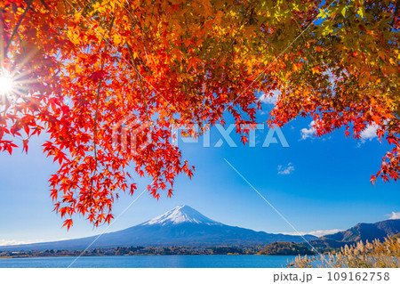 【富士山素材】秋の河口湖から見る冠雪した富士山と紅葉【山梨県】 【富士山素材】秋の河口湖から見る冠雪した富士山と紅葉【山梨県】 109162758