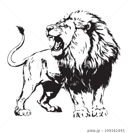 Angry and hungry lion 109162845
