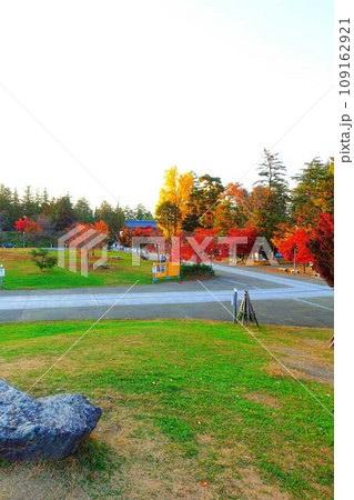 松が岬公園　紅葉　黄葉 109162921