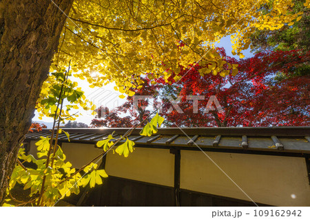 【紅葉素材】秋の長円寺の紅葉【長野県】 【紅葉素材】秋の長円寺の紅葉【長野県】 109162942