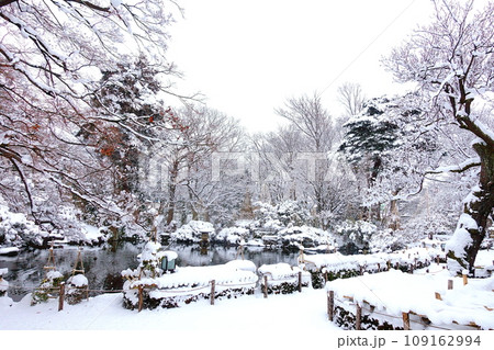 雪景色　冬景色　雪囲い　もみじ公園　山形市 109162994