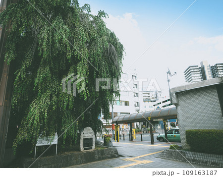 盛岡駅東口を出た先 109163187