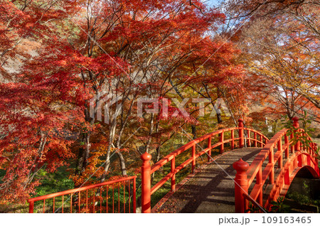 福島県矢祭町　紅葉燃える矢祭山公園 109163465