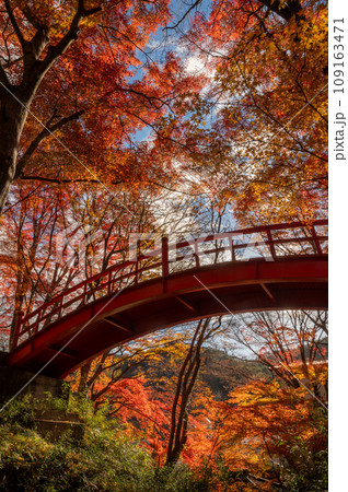 福島県矢祭町　紅葉燃える矢祭山公園 109163471