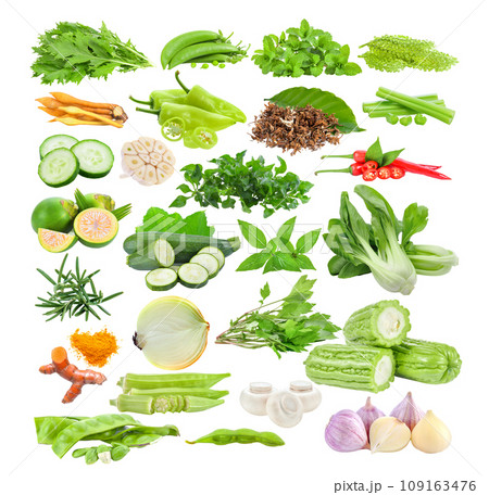 mizuna; peas; Kaempfer; mint; sea grapes; pepper; coffee flower; cucumber; garlic; watercress; celery; Noni fruit; Areca nut; zucchini; Basil; Bok choy; Rosemary; turmeric; onion; mugwort; okra; mizuna; peas; Kaempfer; mint; sea grapes; pepper; coffee flower; cucumber; garlic; watercress; celery; Noni fruit; Areca nut; zucchini; Basil; Bok choy; Rosemary; turmeric; onion; mugwort; okra; 109163476