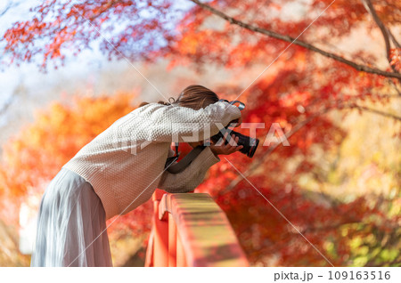 福島県矢祭町 紅葉燃える矢祭山公園 福島県矢祭町 紅葉燃える矢祭山公園 109163516
