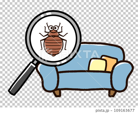 Bed bugs living on the sofa 109163677