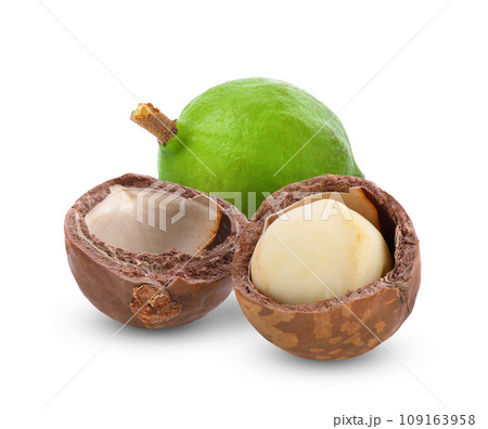 macadamia nuts isolated on white background macadamia nuts isolated on white background 109163958