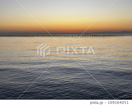 海苔養殖の支柱が並ぶ知多半島の海と夕焼 109164051