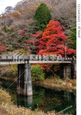 茨城県北茨城市　紅葉燃える水沢ダムの風景 109164131