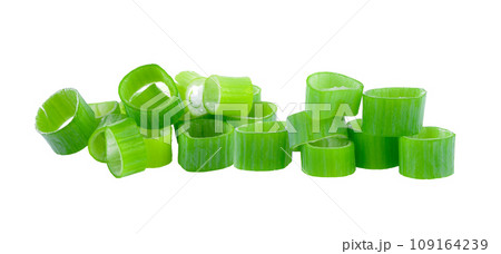 green onion slice on white background 109164239