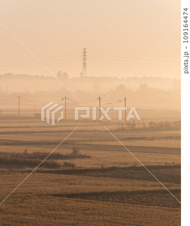 茨城県水戸市　秋の朝靄の中を走る常磐線 109164474