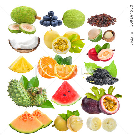 breadfruit; blueberries; coconut; guava; raisin; passion fruit; macadamia; Mulberry; orange; banana; Soursop; watermelon; melon; Rambeh; Carunda on white background 109164530