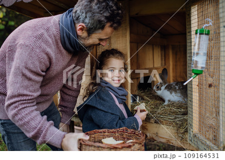 Girl and father feeding pet rabbit, giving it vegetables from the garden and old bread. 109164531