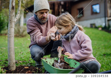 Girl and father planting tree in garden in the spring, using compost. Girl smelling compost, learning abou composting. Concept of sustainable gardening family gardening. 109164538