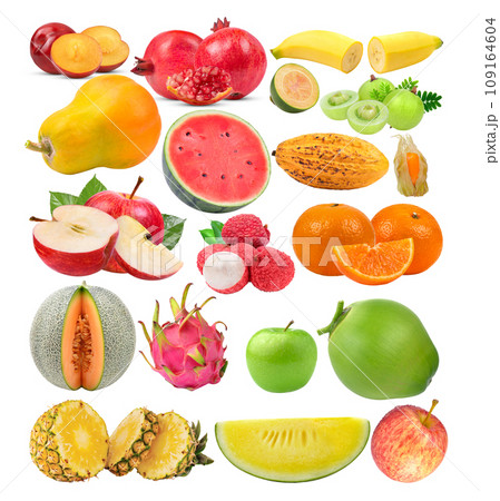 plum; Pomegranate; banana; papaya; betel; areca; watermelon; Indiangooseberry; cocoa; apple; lychee; orange; melon; dragon fruit; apple; pineapples on white background plum; Pomegranate; banana; papaya; betel; areca; watermelon; Indiangooseberry; cocoa; apple; lychee; orange; melon; dragon fruit; apple; pineapples on white background 109164604