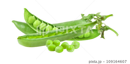 Green peas on white background 109164607