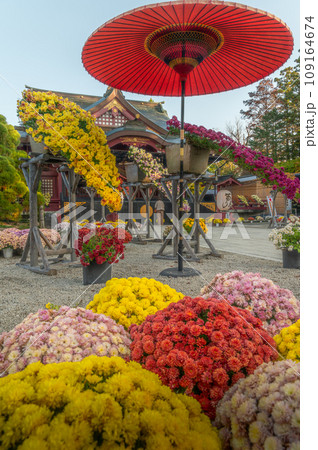 茨城家笠間市　笠間稲荷神社　菊祭り 109164674