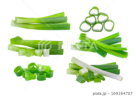 green onion slice on white background 109164787