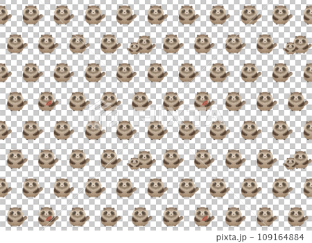 Raccoon seamless pattern A-5 PNG 109164884