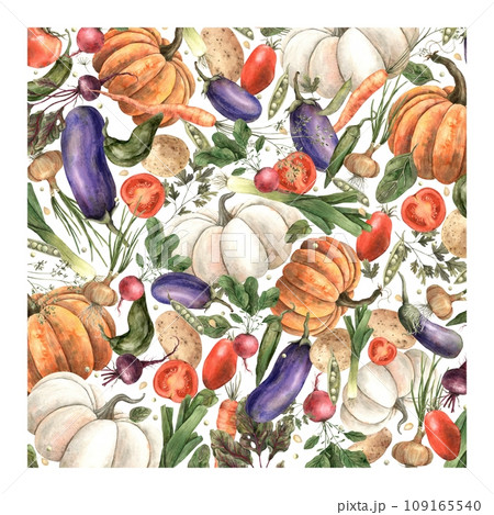 Watercolor composition from a set of vegetables: pumpkin, eggplant, onion, beets, peppers, radishes, dill, carrots, peas, potatoes, parsley, spinach, watercolor. Template, composition for design, 109165540