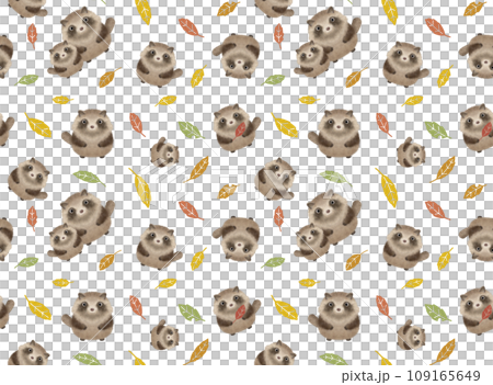 Raccoon seamless pattern C-6 PNG 109165649