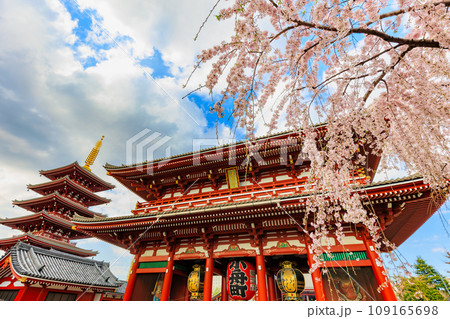 東京　台東区　浅草寺　宝蔵門と満開の桜 109165698