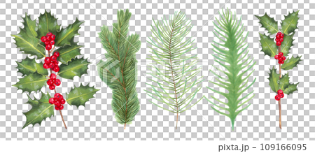 Christmas collection with holly branches and red berries. Various evergreen branches of pine and spruce. Set for the winter holidays New Year, Christmas. Watercolor illustration. Hand drawing isolated 109166095