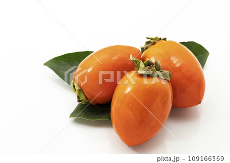 白バックの筆柿 白バックの筆柿 109166569