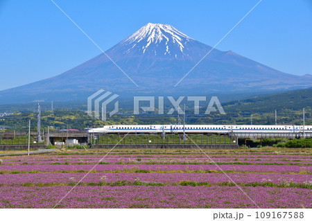 春　富士山　花畑　新幹線 109167588