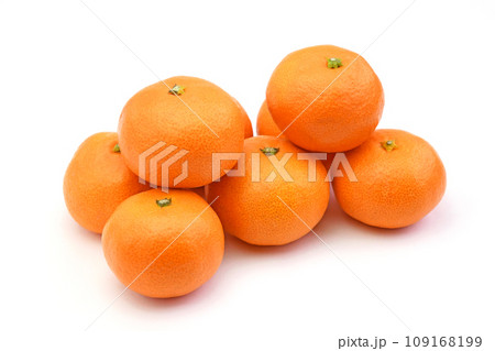 愛媛県産みかん 109168199