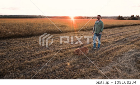 Man walks cute cocker spaniel dog on leash in field with mown grass at sunset light owner rests walking red spaniel dog in rural park man with dedicated spaniel dog in country park on weekend Man walks cute cocker spaniel dog on leash in field with mown grass at sunset light owner rests walking red spaniel dog in rural park man with dedicated spaniel dog in country park on weekend 109168234