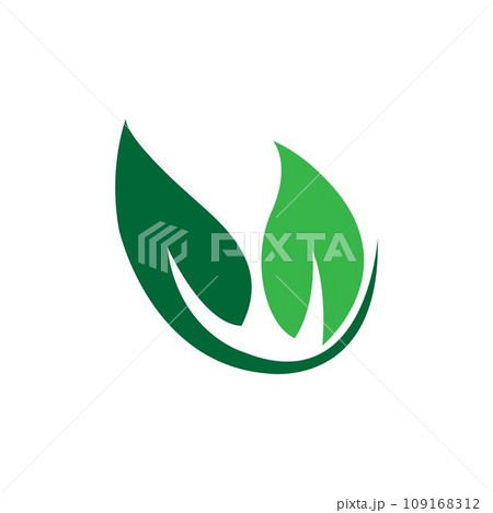 leaf nature logo concept template 109168312