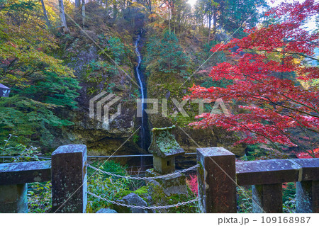 秋の群馬県高崎市 榛名神社の瓶子の滝(みすずのたき) 109168987