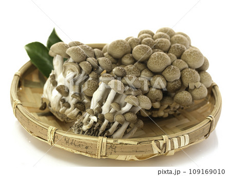 ザルに入った しめじとほぐしぶなしめじ【白背景】 ザルに入った しめじとほぐしぶなしめじ【白背景】 109169010