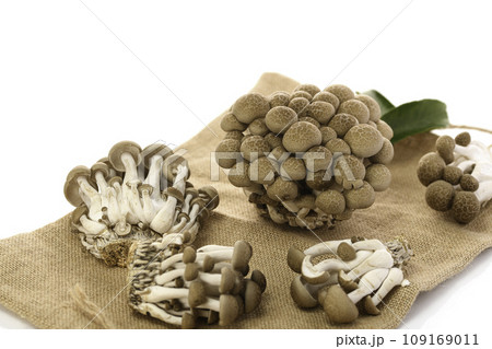 しめじ （ぶなしめじ）白背景 109169011