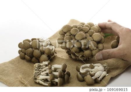 しめじ （ぶなしめじ）とほぐしたしめじ（白背景） 109169015