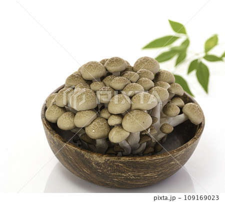 木のお皿にのせたしめじ (ぶなしめじ)白背景 木のお皿にのせたしめじ (ぶなしめじ)白背景 109169023