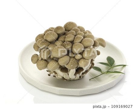 白いお皿にのせたしめじ （ぶなしめじ）白背景 109169027