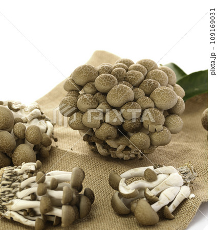 しめじ (ぶなしめじ)白背景 しめじ (ぶなしめじ)白背景 109169031