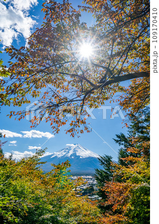 新倉山浅間公園　雄大な富士山と桜の紅葉　秋　光芒 109170410